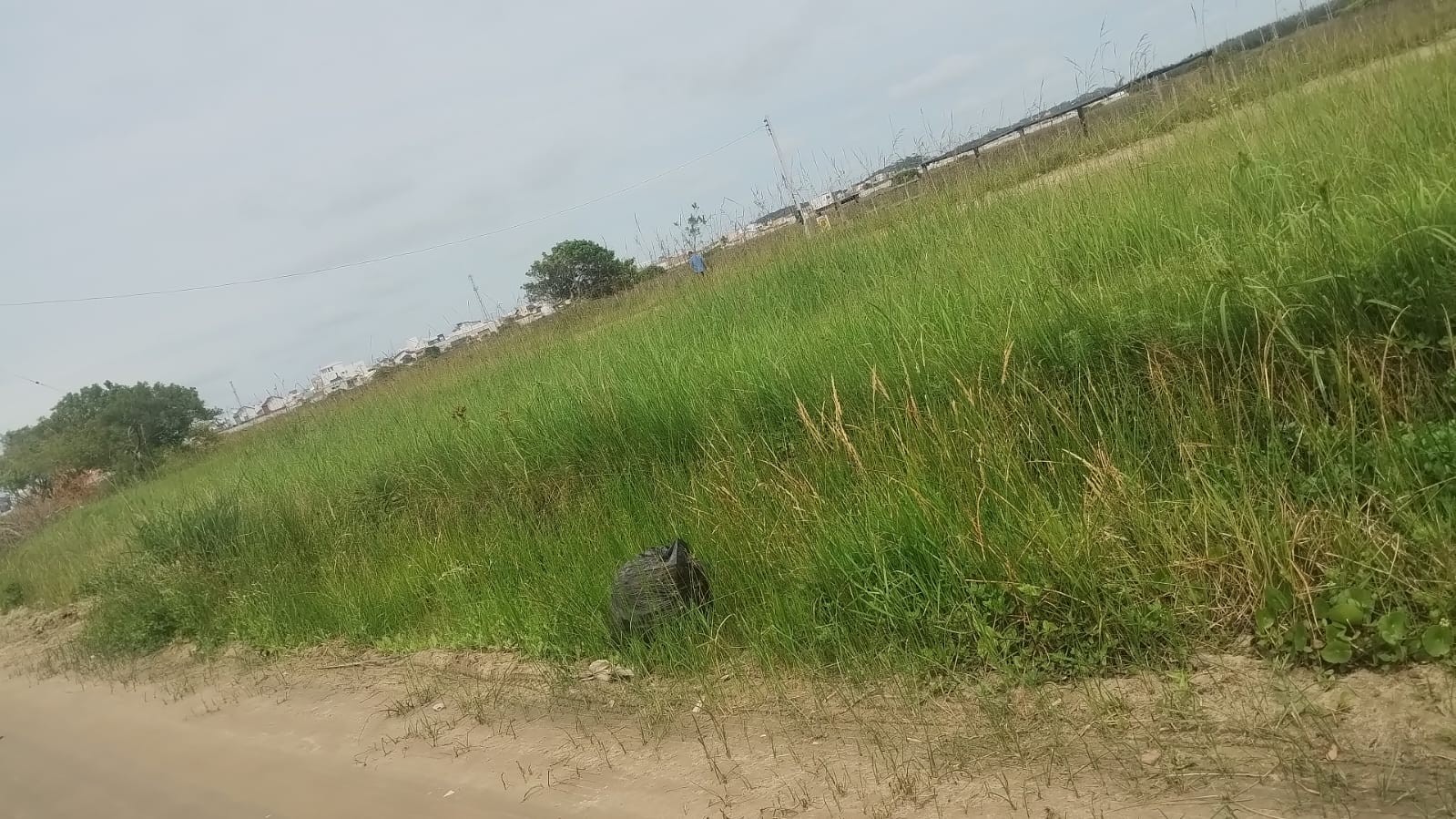 Corte de grama: Executivo presta esclarecimentos após reclamações de moradores de Rio Grande