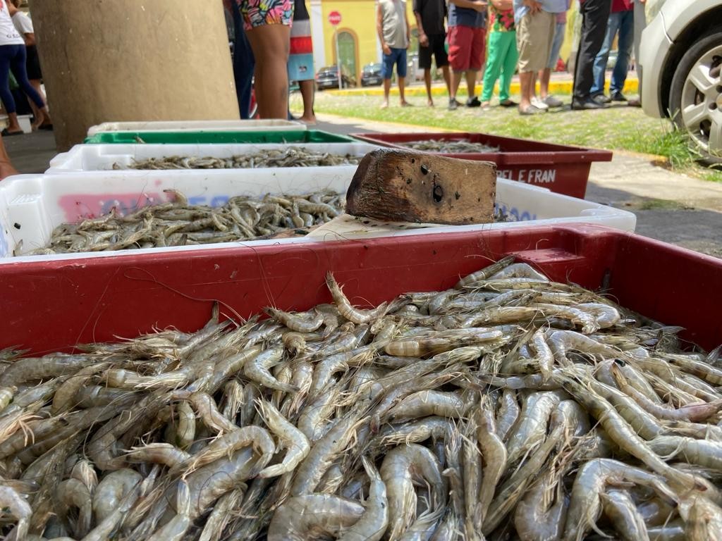 Pescadores de Rio Grande esperam safra de camarão para segunda quinzena de fevereiro