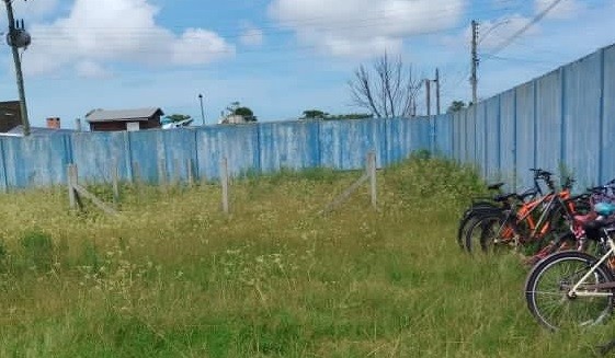 Com início do ano letivo, comunidade pede corte de grama nas escolas municipais