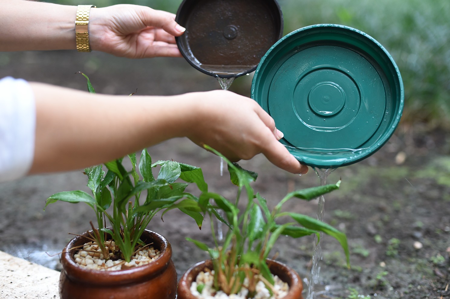 Rio Grande vai receber R$ 50 mil do governo do RS para o combate à dengue 