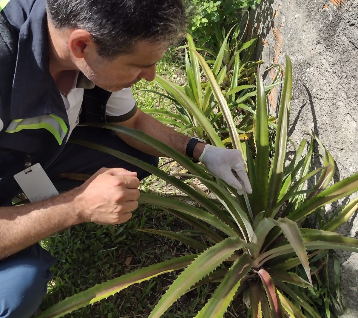 Campanha de conscientização contra a dengue tem início nesta segunda (11) nos bairros de Rio Grande