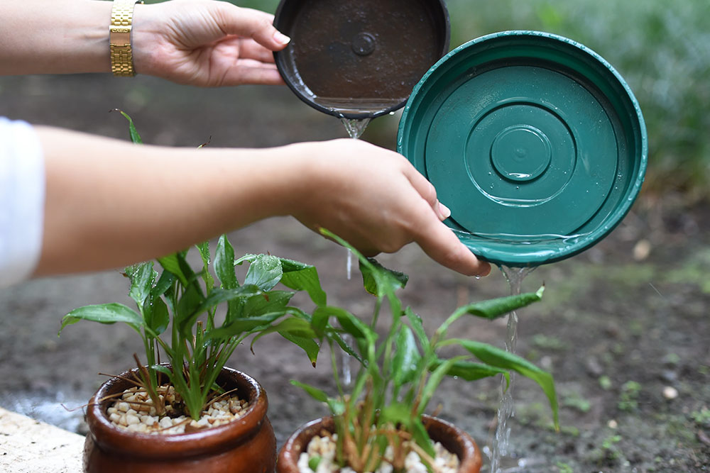 Com sinal de alerta ligado, SMS realiza ações preventivas no combate à dengue 