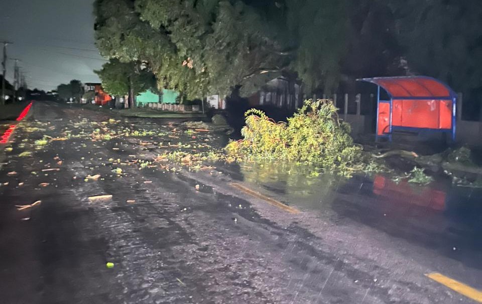 Temporal deixou ao menos 30 casas destelhadas, derrubou mais de 100 postes e ao menos 60 árvores em RG