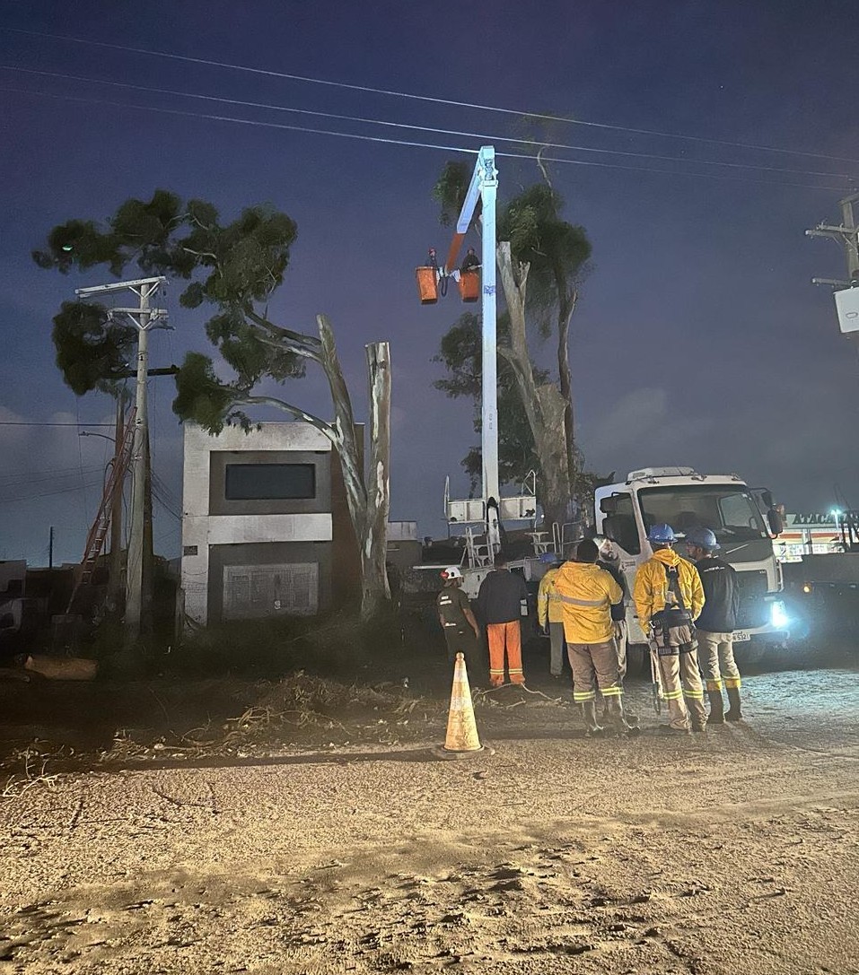 Defesa Civil do Rio Grande apresenta balanço parcial de atendimentos após passagem do temporal