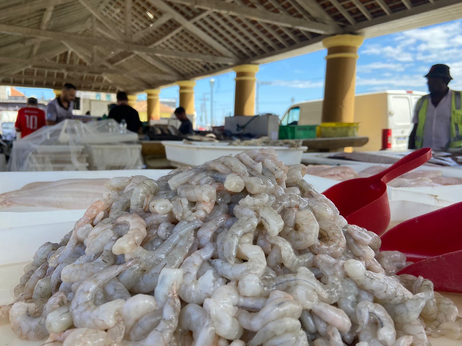 Veja o preço médio dos pescados mais procurados em Rio Grande