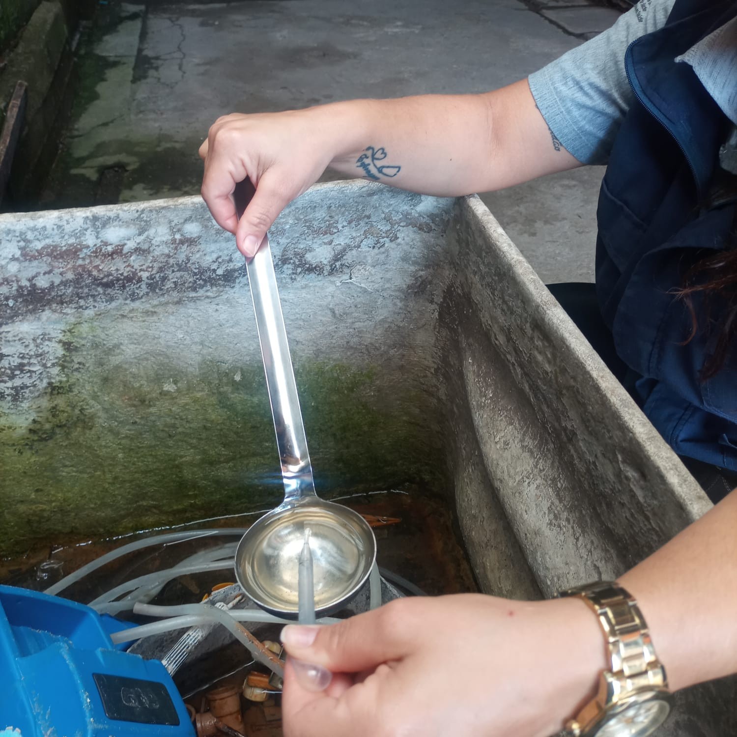 Saúde apresenta balanço de mutirões contra a Dengue nesta semana