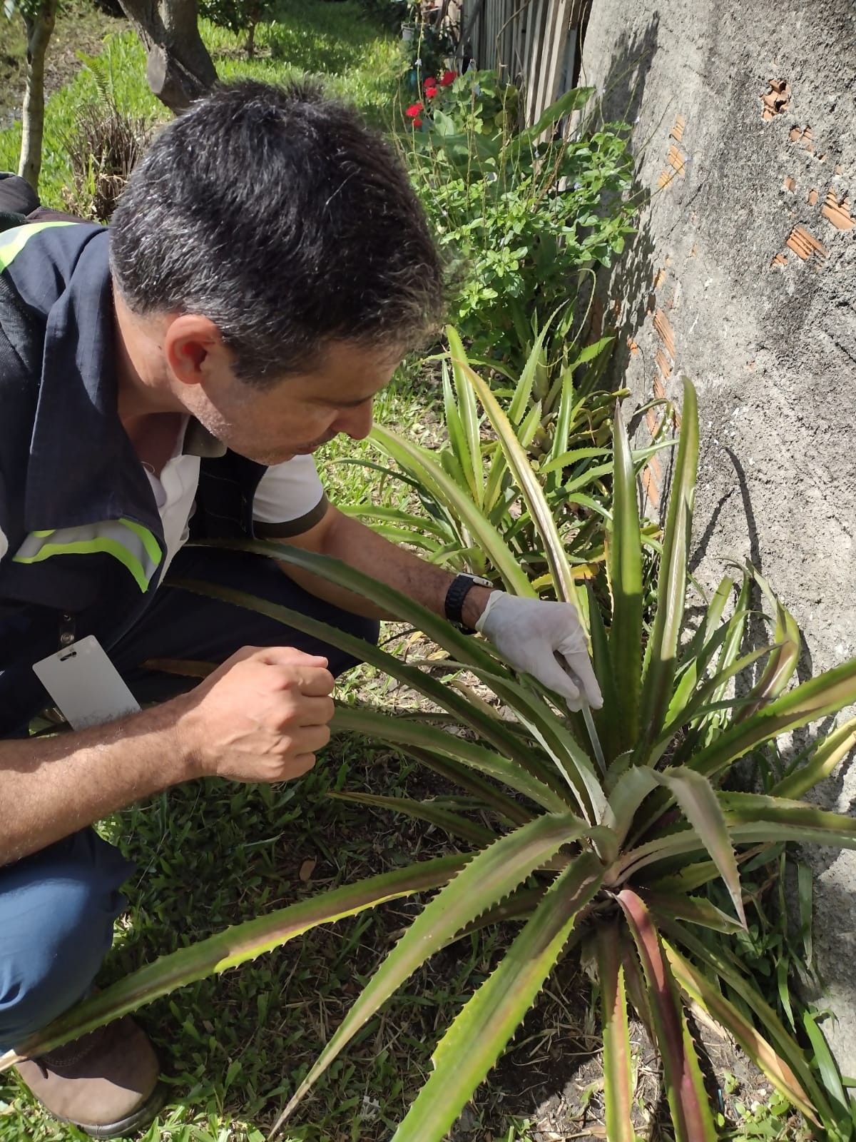 Rio Grande chega a 46 casos de dengue em 2024