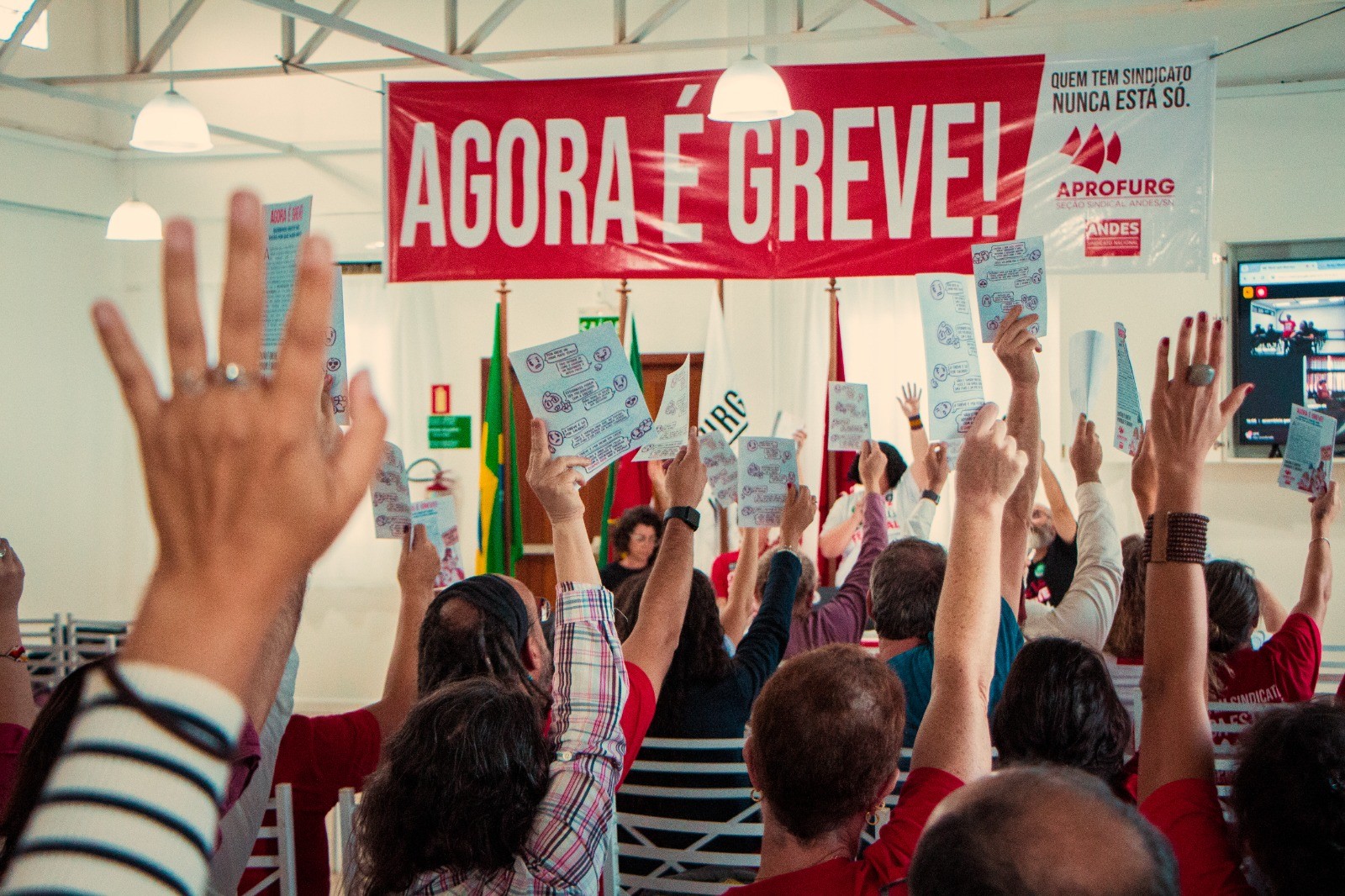 Professores da Furg e IFRS negam proposta do governo e seguem em greve