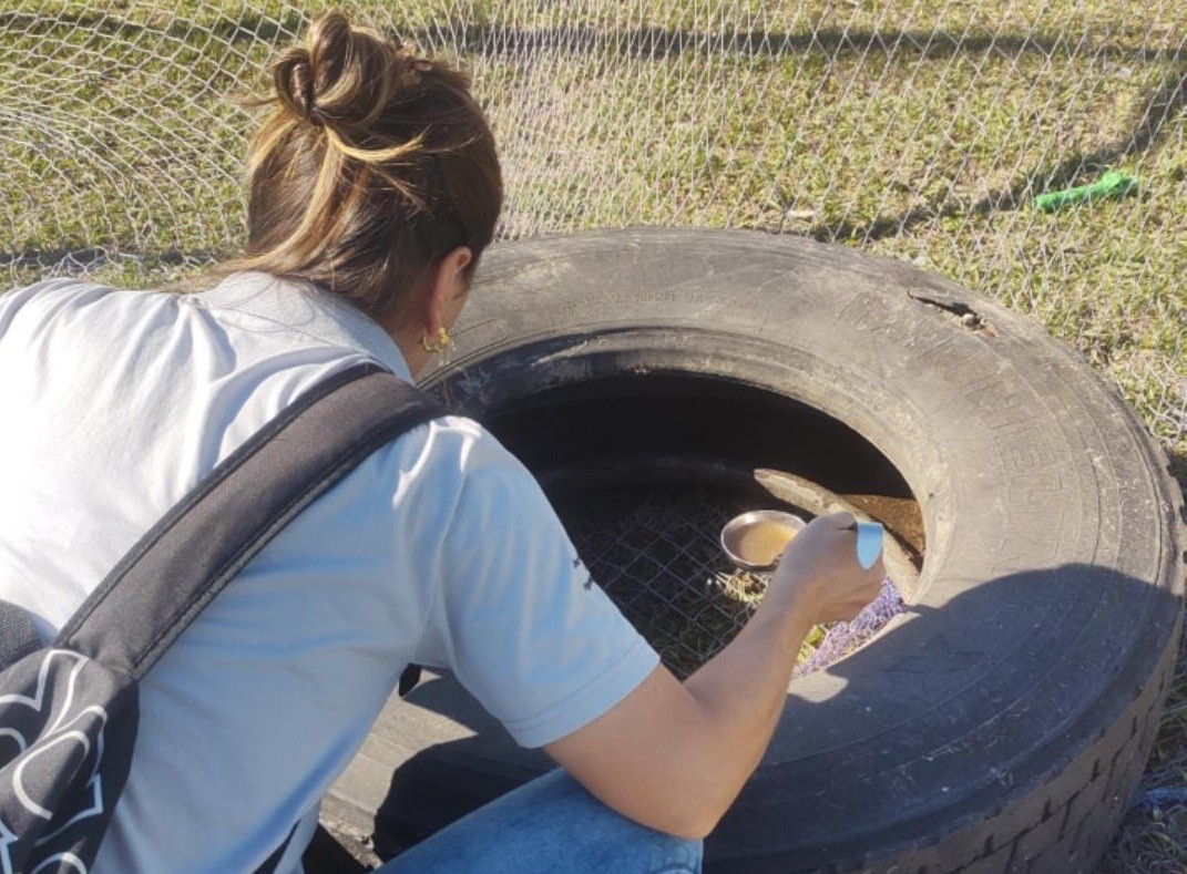 Rio Grande chega a 53 casos de dengue em 2024