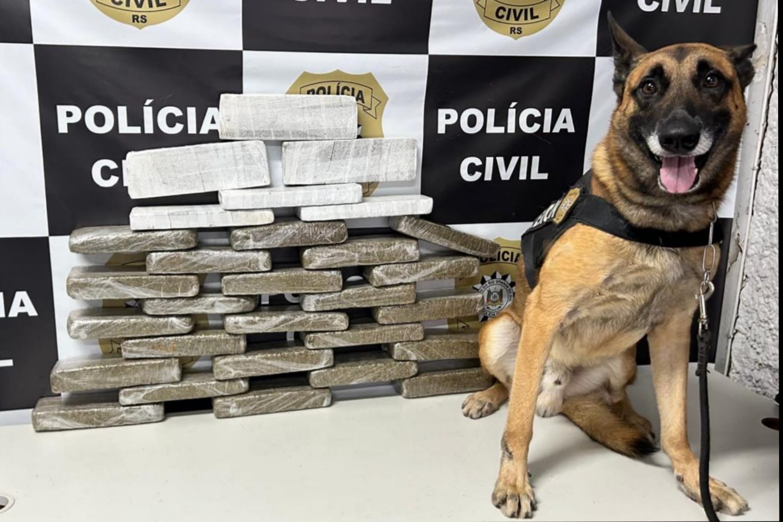 PC apreende 20 kg de maconha que tinham como destino Rio Grande e Pelotas