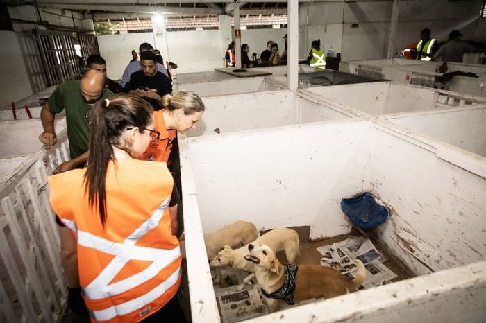 Pelotas vacina cães abrigados na Associação Rural