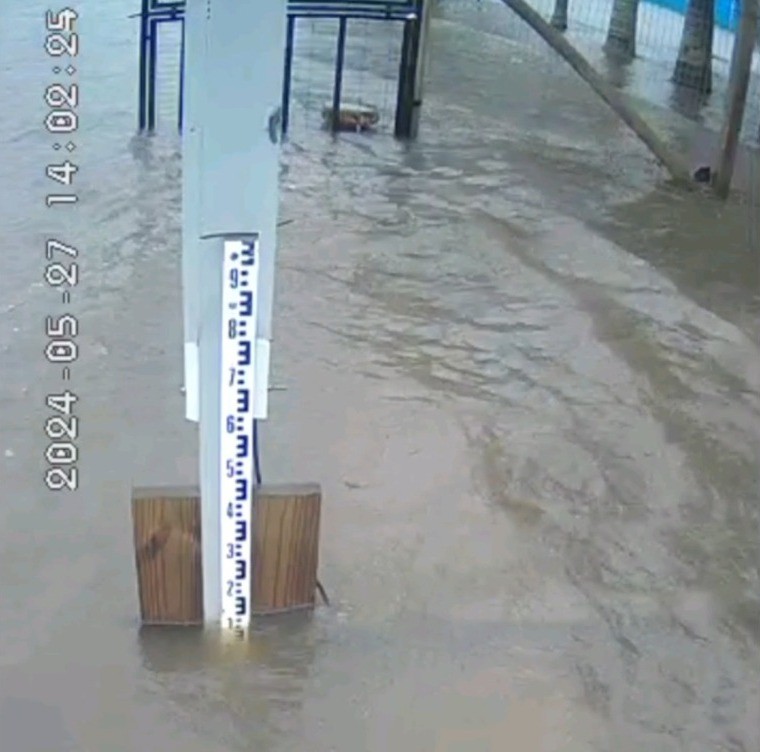 Acompanhe ao vivo o nível da Lagoa dos Patos 