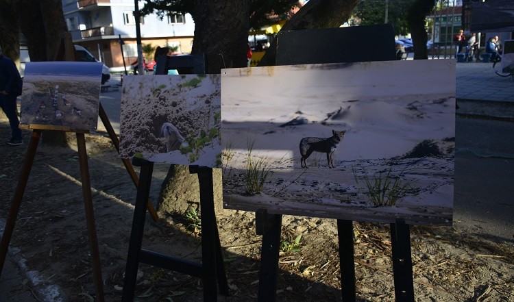 Política Ambiental da Furg completa dez anos e passa por nova avaliação em consulta pública