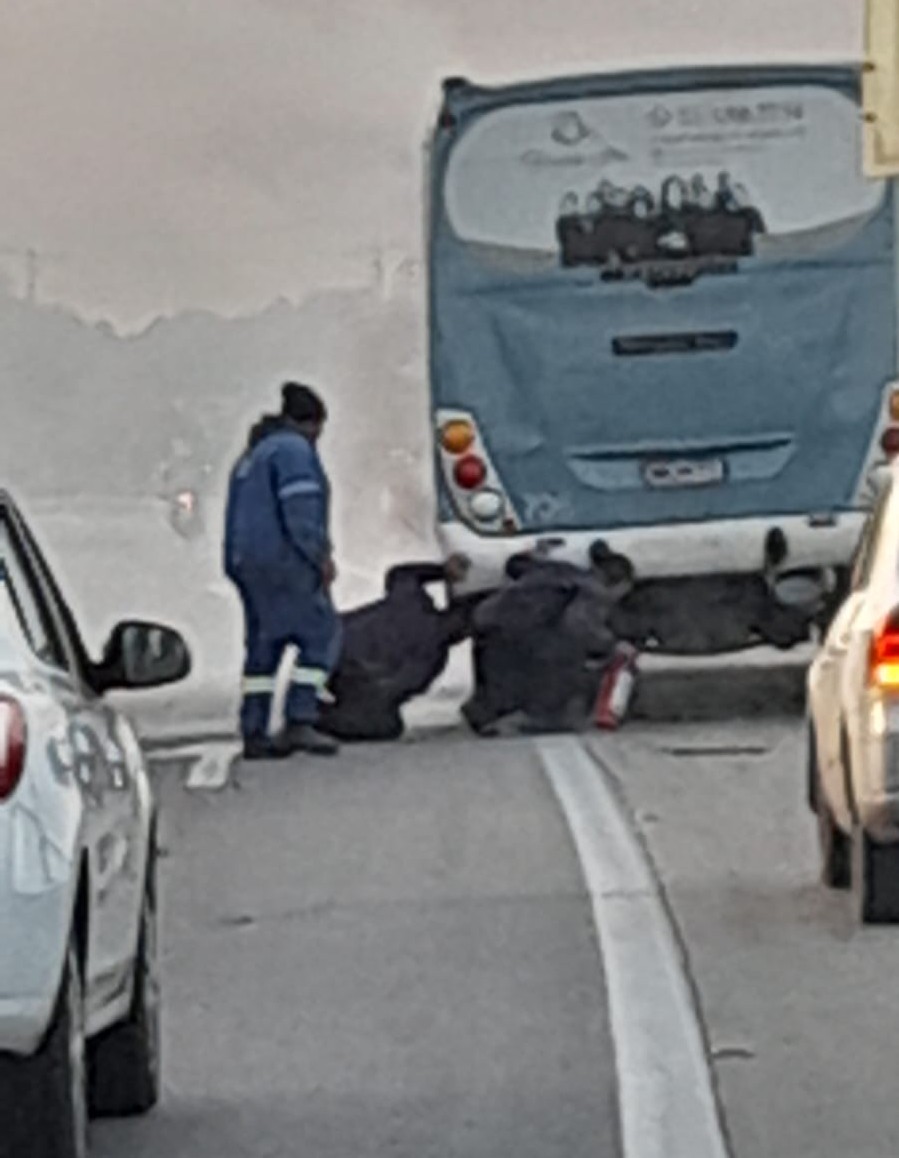 Ônibus da linha Quinta tem princípio de incêndio nesta manhã (12) na BR-392 em Rio Grande