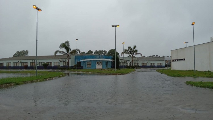 Furg mantém suspensão das atividades na quinta-feira (14)