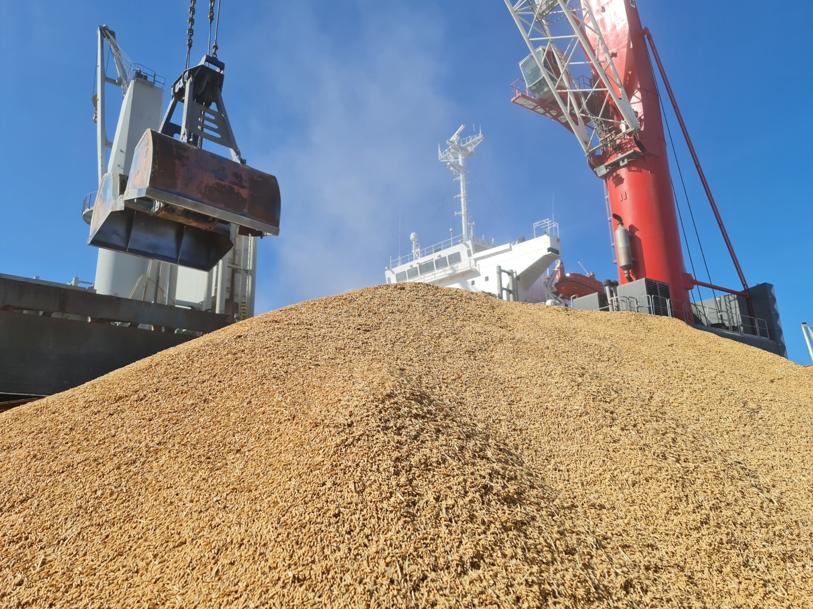 Porto do Rio Grande é destaque em movimentações