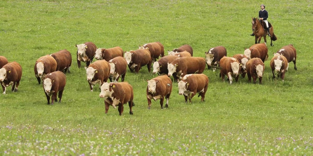 PIB do RS cresce no segundo trimestre, puxado pela agropecuária e a indústria