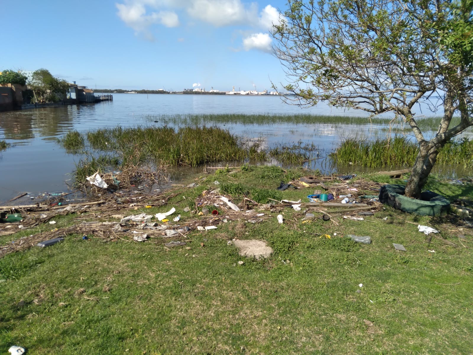 Mais de 4 toneladas de lixo já foram recolhidas das áreas ribeirinhas