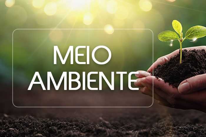 Prazo para inscrições de projetos no Fundo Municipal do Meio Ambiente encerra na quarta-feira (11)