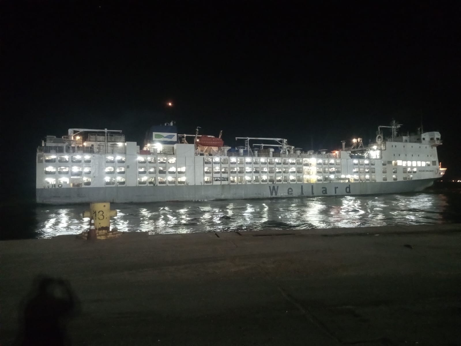 Porto do Rio Grande movimenta cargas rodantes e promove embarque de gado