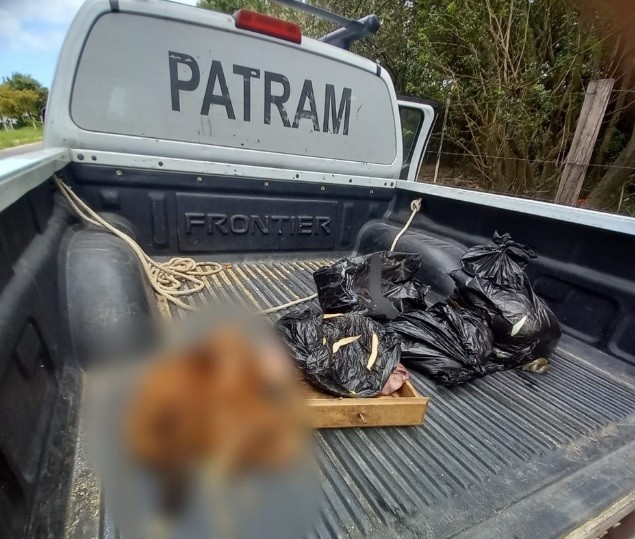 Denúncia: couro e buchada de cão são encontrados na Vila Maria, em Rio Grande