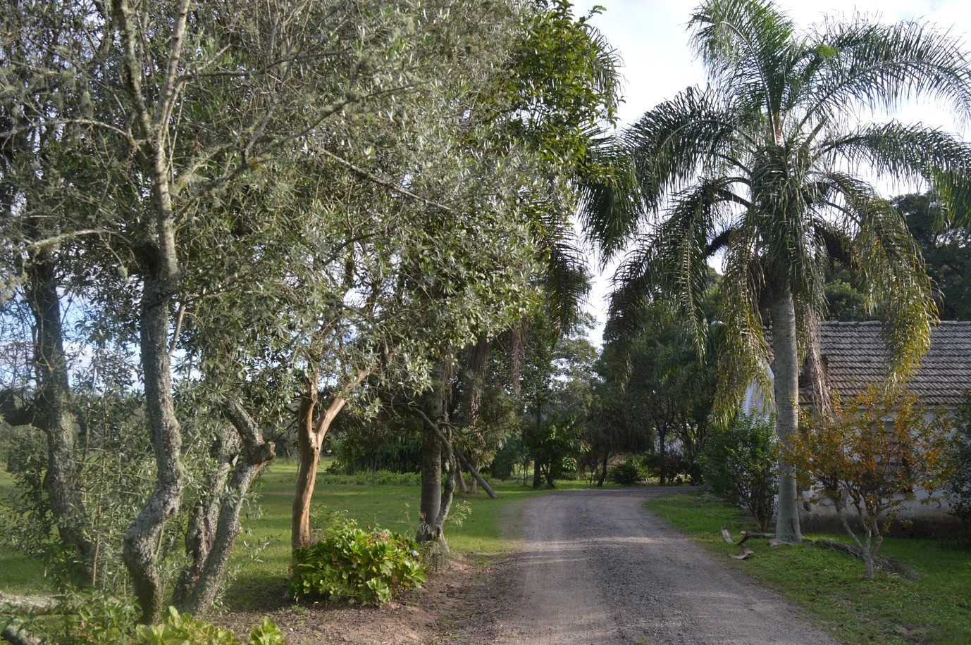 Ação De Mãos Dadas com a Natureza acontecerá nesta quarta-feira (13) no Horto do Povo Novo