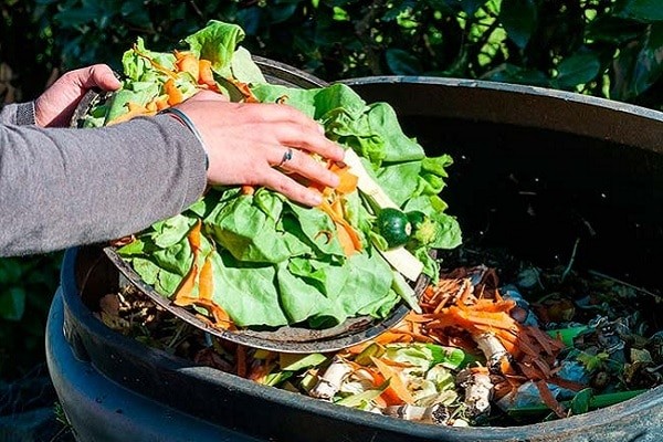Aplicativo produzido pelo Marista São Francisco ajuda a mobilizar doações de alimentos e reduzir desperdícios