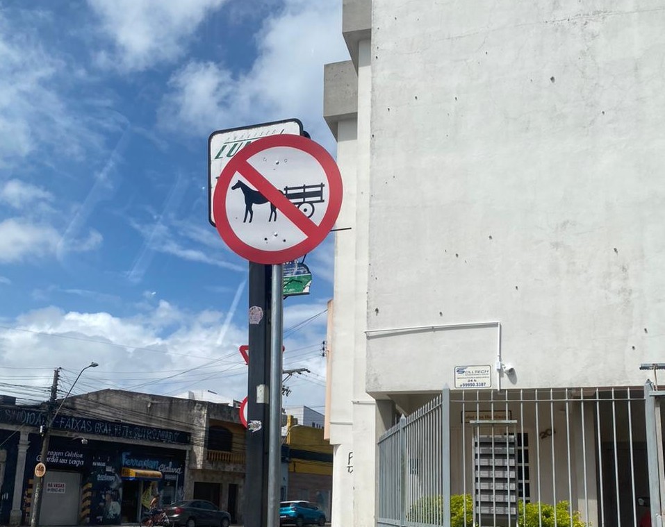 Veículos de Tração Animal não podem circular em vias do centro de Rio Grande