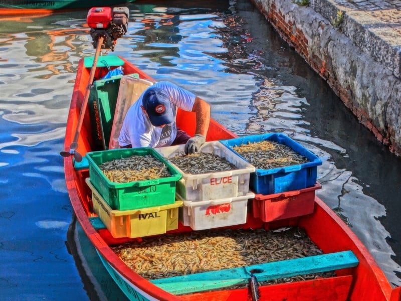 Secretário garante que água da Lagoa dos Patos não oferece risco de contaminação de pescados