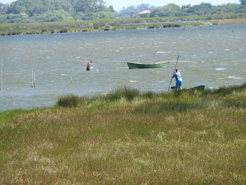 Reunião anual do Conselho Gestor da APA da Lagoa Verde acontece na próxima terça (11)