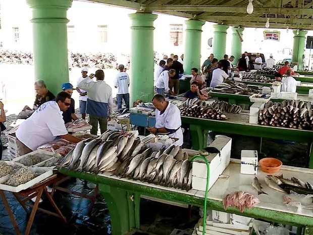 É uma falsa pretensão de proteger a espécie, diz presidente da Colônia de Pescadores sobre cota de tainha