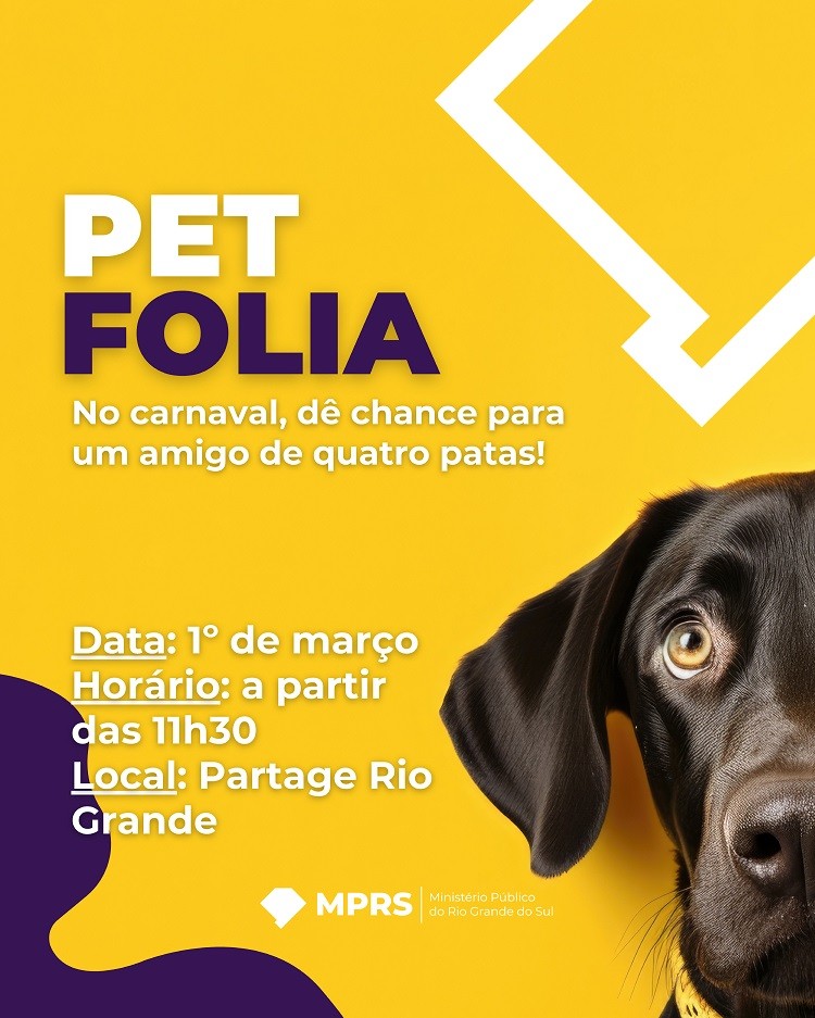 Petfolia promove adoção de cães resgatados em Rio Grande