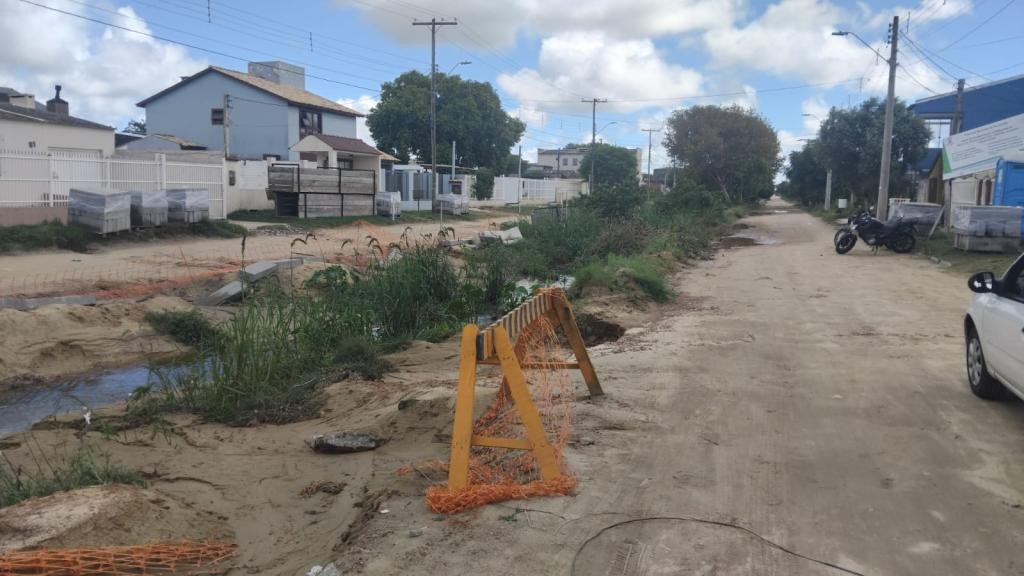 Revitalização da Rua Leivas Otero prioriza proteção ambiental e transplante de árvores