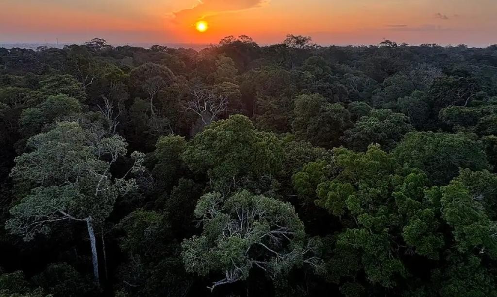Rio Grande marca presença na 5ª Conferência Nacional do Meio Ambiente