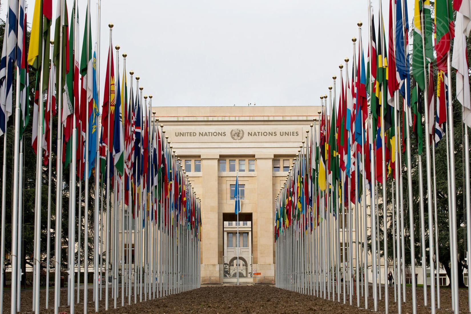 Professor da FURG é nomeado para comitê da ONU em Roterdã