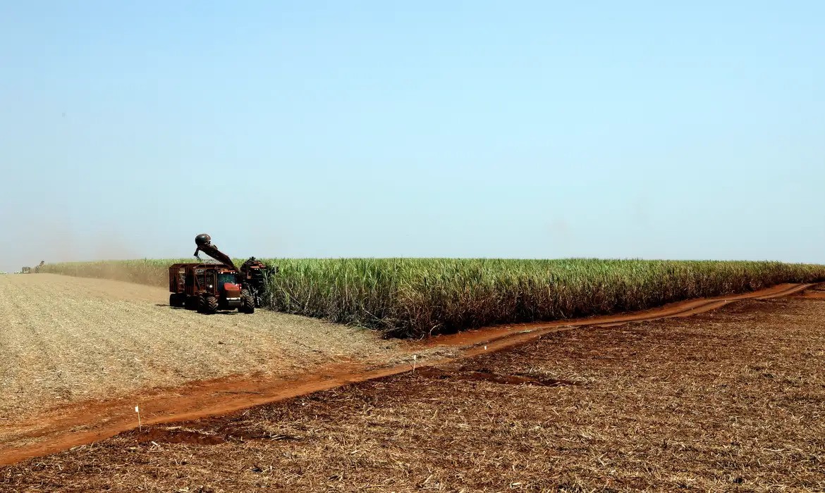Governo Federal libera R$210 milhões para produtores rurais gaúchos