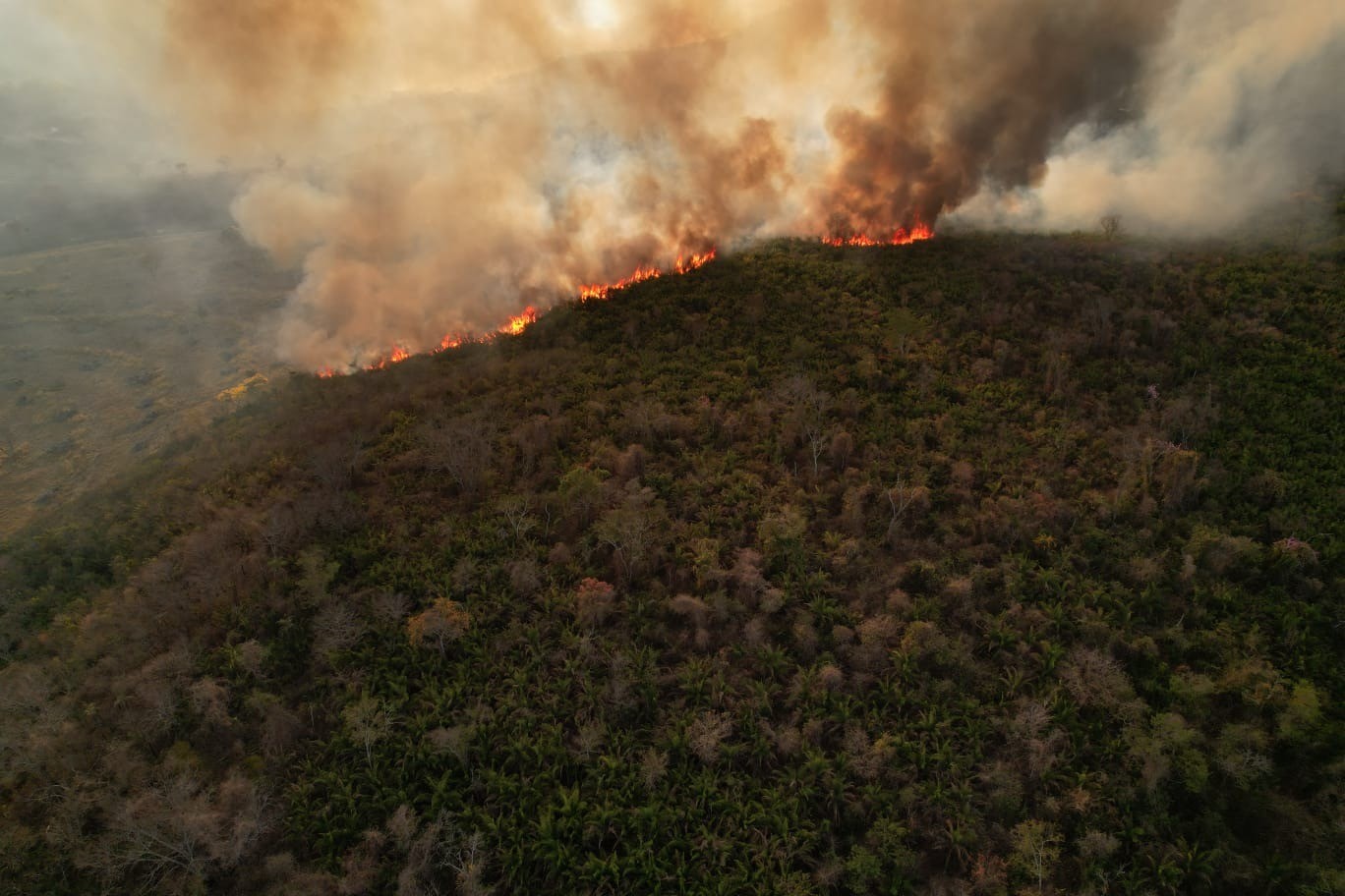 Governo do Estado envia reforços para o combate dos incêndios florestais no Mato Grosso do Sul