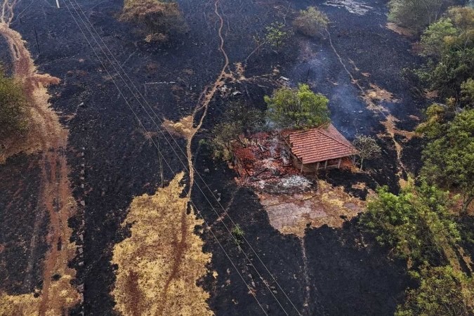 Estado de São Paulo enfrenta crise ambiental com incêndios florestais e suspeitas de ação criminosa