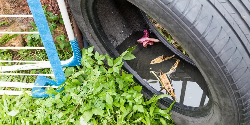 Vigilância Ambiental inicia novo levantamento de focos de Dengue em Rio Grande
