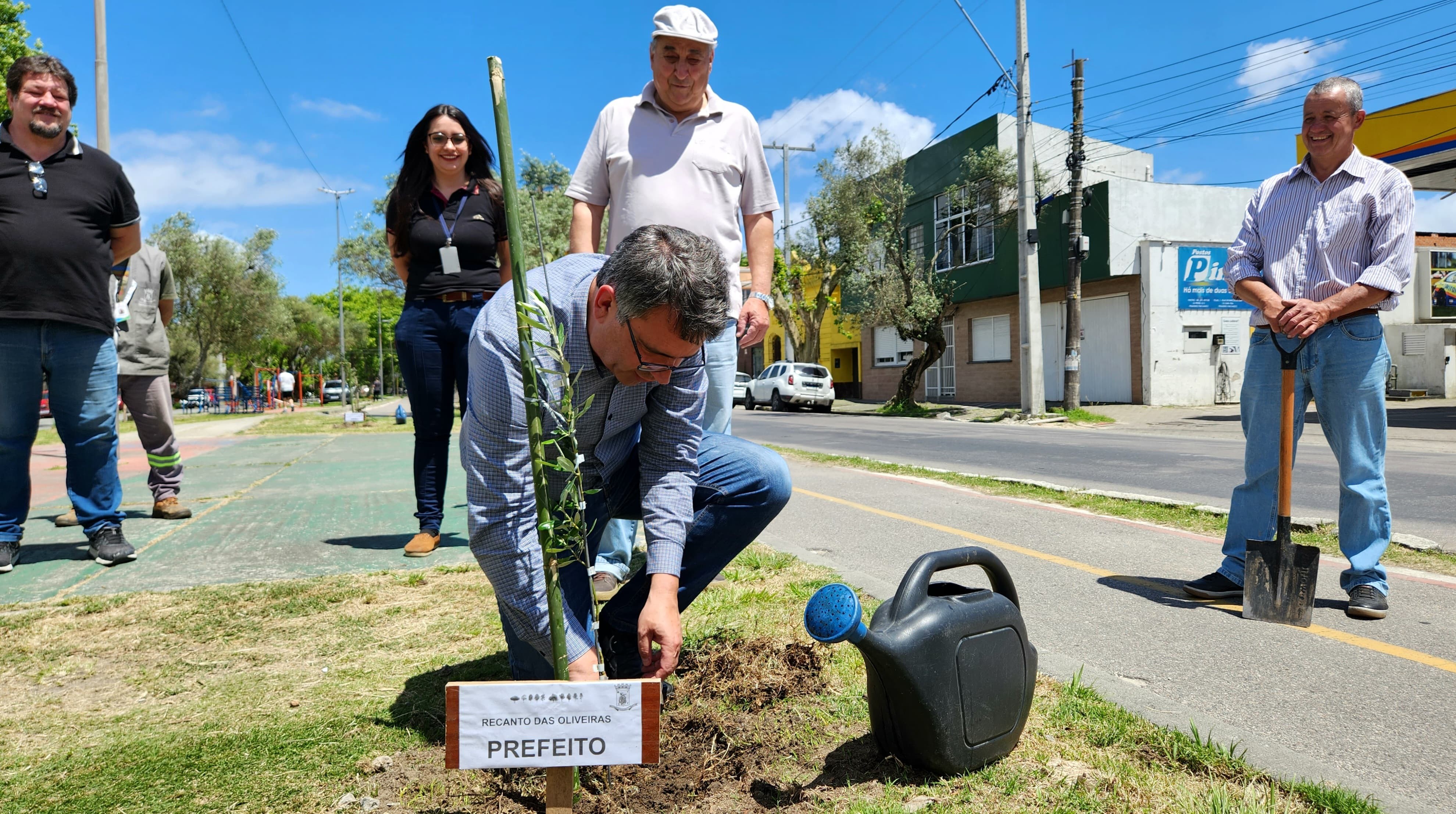 Prefeitura realiza plantio de oliveiras na Avenida Portugal nesta segunda (28)