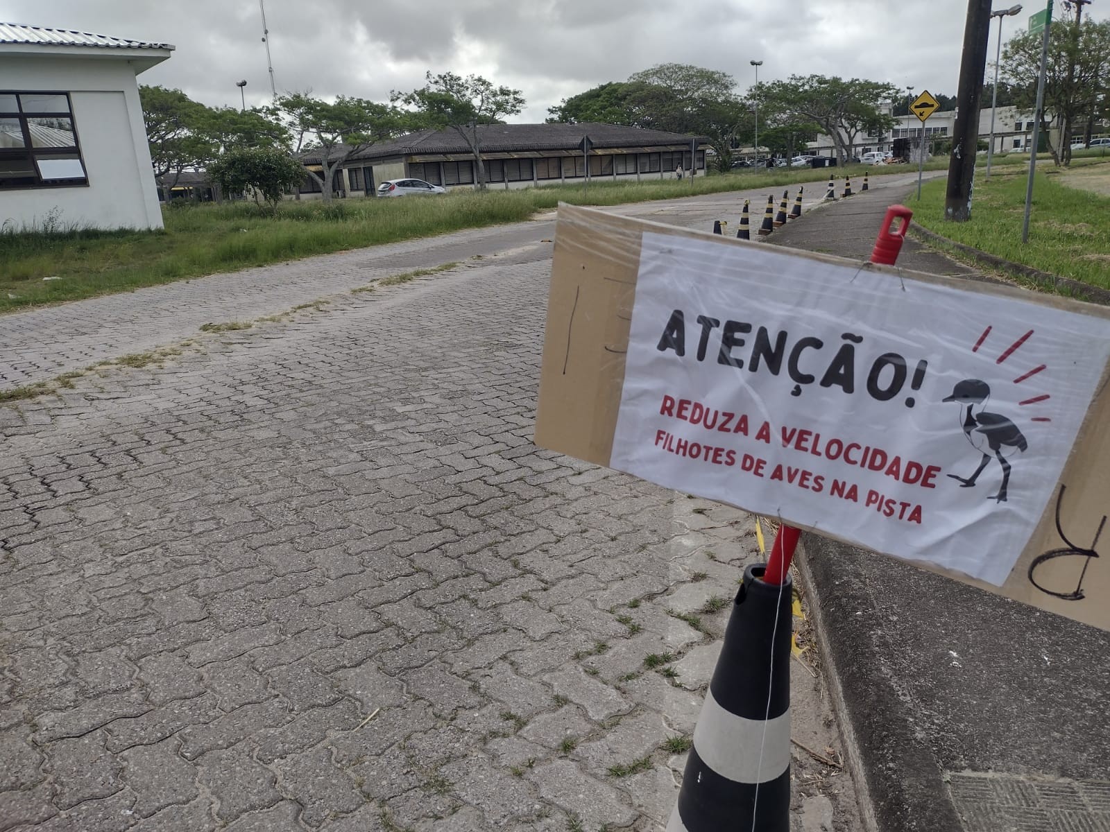 Furg alerta motoristas sobre cuidado no trânsito do campus Carreiros