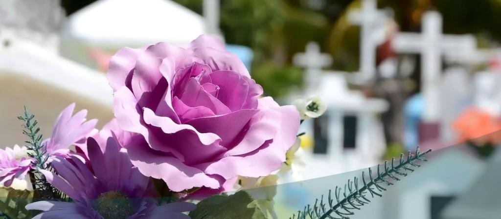 Abertas as inscrições para comércio ambulante de flores no período de Finados