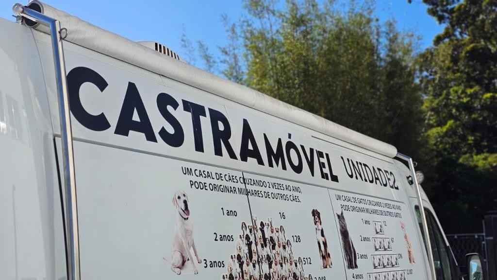 Castramóvel leva serviço de castração à Ilha dos Marinheiros a partir desta terça-feira