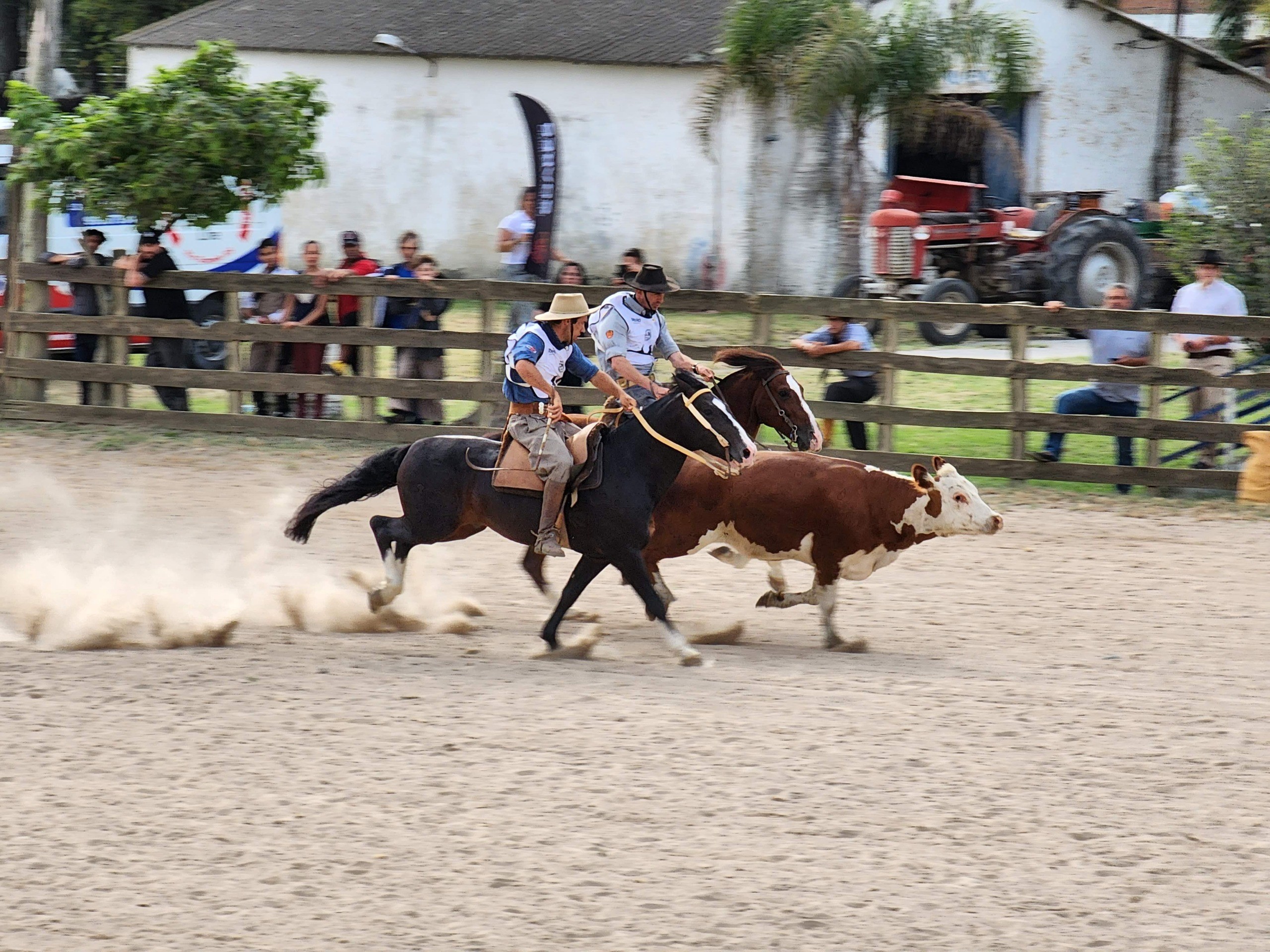 51ª Expofeira do Rio Grande começa nesta quarta-feira com ampla programação no Parque Filinto Eládio da Silveira
