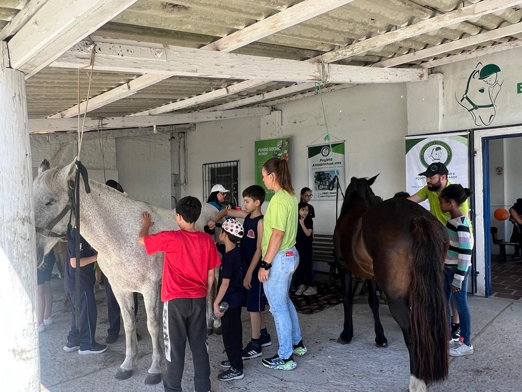 Atividades diversificadas movimentam a 51ª Expofeira no segundo dia