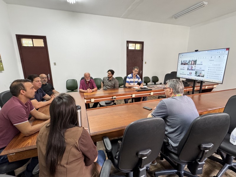 Câmara Setorial da Cebola do RS apresenta demandas ao MDA para enfrentar crise vivida por agricultores