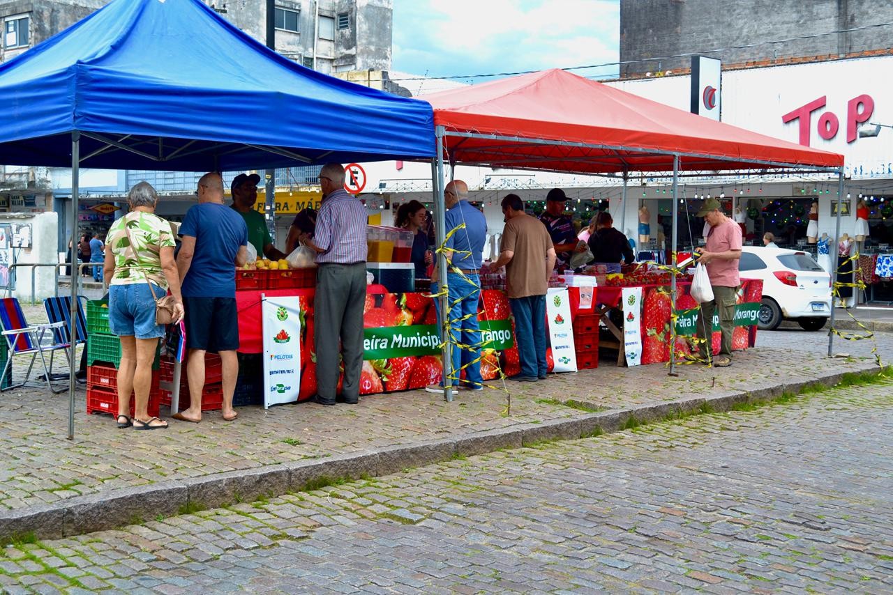 Pelotas registra venda de 4,5 toneladas de morango e pêssego em uma semana