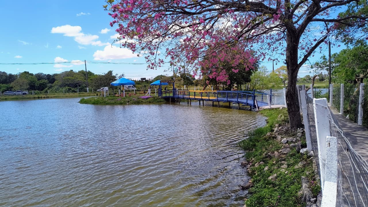 Passeio de pedalinhos no lago da rodoviária de Pelotas serão retomados neste verão