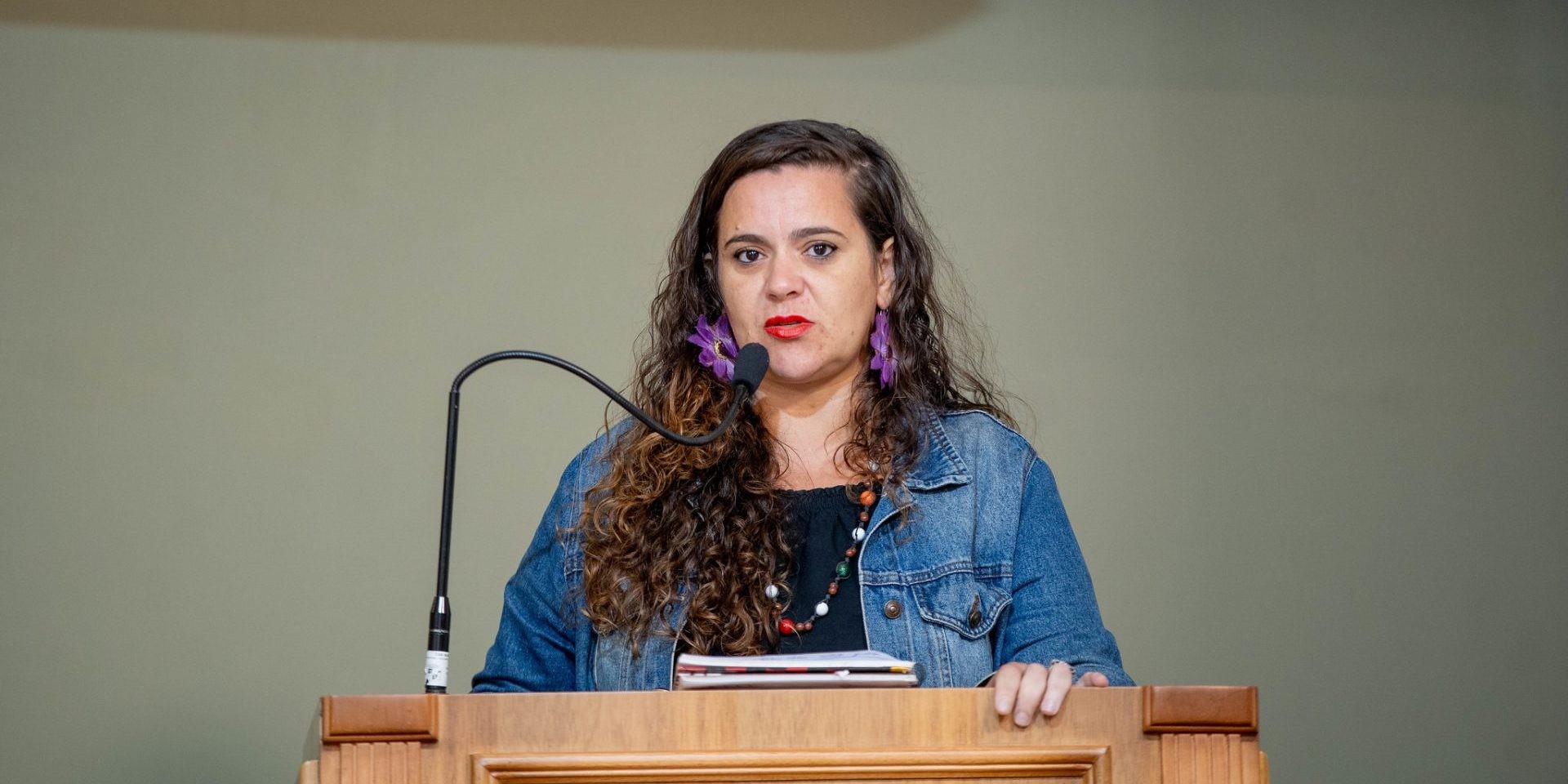 Câmara de Pelotas tem votação de afastamento e posse no último dia do ano