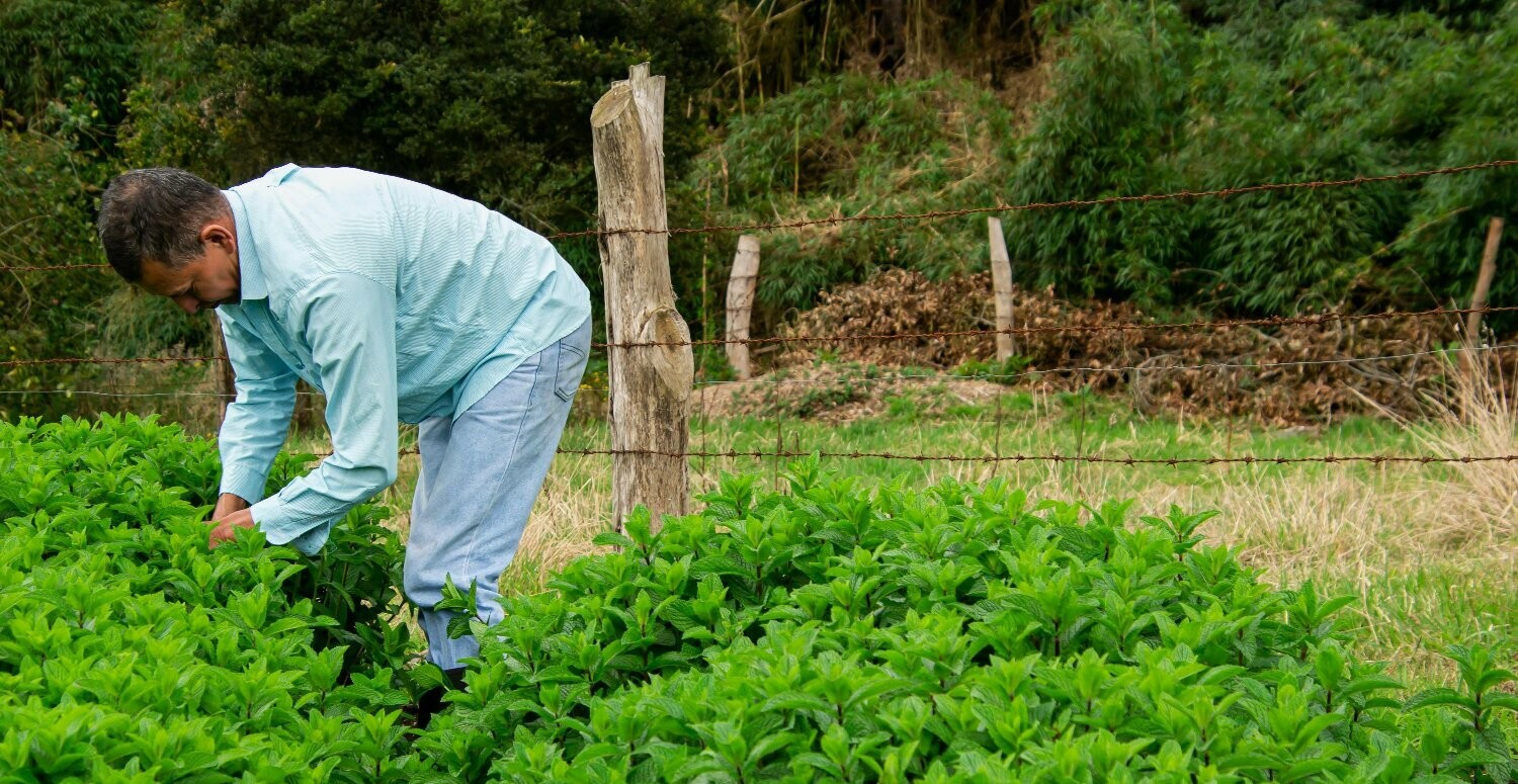Nota Fiscal Eletrônica passa a ser obrigatória para produtores rurais e pescadores em Rio Grande 